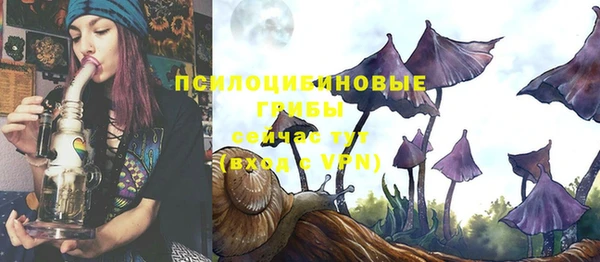 a pvp Аркадак
