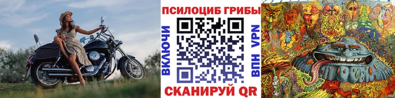 Галлюциногенные грибы MAGIC MUSHROOMS Бугульма